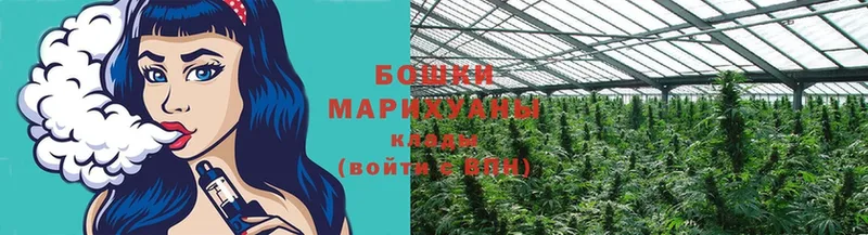 Конопля Bruce Banner  Енисейск 